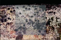 登錄號:F0007365藏品圖，第4張