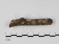 登錄號:F0007368藏品圖，第3張