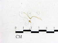 登錄號:F0007370藏品圖，第1張