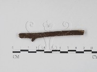 登錄號:F0007371藏品圖，第1張