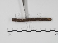 登錄號:F0007371藏品圖，第3張