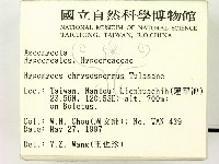 登錄號:F0007373藏品圖，第2張