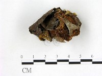 登錄號:F0007373藏品圖，第1張