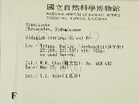 登錄號:F0007374藏品圖，第2張