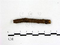 登錄號:F0007375藏品圖，第1張