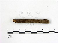 登錄號:F0007375藏品圖，第3張