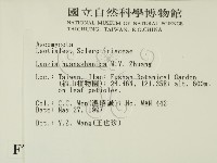 登錄號:F0007376藏品圖，第2張