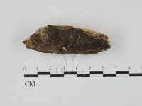 登錄號:F0007378藏品圖，第3張