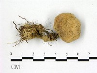 登錄號:F0007379藏品圖，第1張