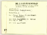 登錄號:F0007380藏品圖，第2張