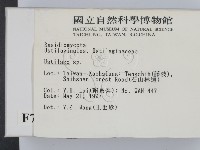 黑粉菌屬藏品圖，第2張