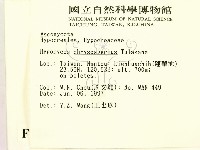 登錄號:F0007383藏品圖，第2張