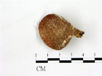 登錄號:F0007383藏品圖，第1張