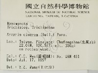 登錄號:F0007384藏品圖，第2張