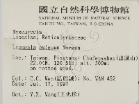 登錄號:F0007385藏品圖，第2張