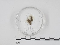 登錄號:F0007385藏品圖，第1張