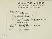 登錄號:F0007386藏品圖，第2張