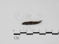 登錄號:F0007386藏品圖，第3張