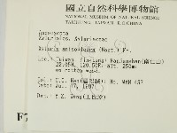 登錄號:F0007387藏品圖，第2張