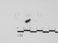 登錄號:F0007387藏品圖，第1張