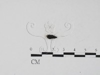 登錄號:F0007387藏品圖，第3張
