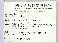 登錄號:F0007388藏品圖，第2張