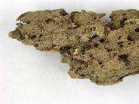 登錄號:F0007388藏品圖，第3張