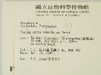 登錄號:F0007389藏品圖，第2張