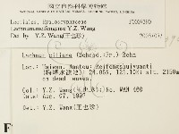 登錄號:F0007390藏品圖，第2張