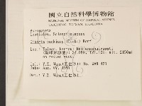 登錄號:F0007391藏品圖，第2張