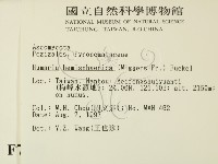 登錄號:F0007392藏品圖，第2張