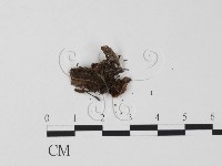 登錄號:F0007392藏品圖，第3張