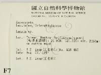 登錄號:F0007393藏品圖，第2張