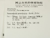 登錄號:F0007395藏品圖，第2張