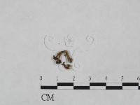 登錄號:F0007396藏品圖，第3張