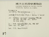 登錄號:F0007397藏品圖，第2張