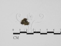 登錄號:F0007397藏品圖，第1張