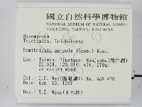 登錄號:F0007399藏品圖，第2張