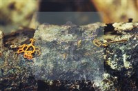 登錄號:F0007399藏品圖，第3張