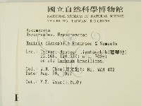 登錄號:F0007401藏品圖，第2張