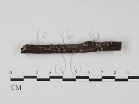 登錄號:F0007401藏品圖，第3張