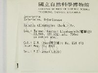 登錄號:F0007402藏品圖，第2張