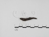 登錄號:F0007402藏品圖，第4張