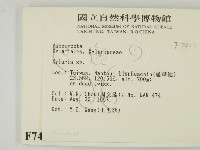 炭角菌屬藏品圖，第2張