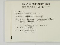 登錄號:F0007404藏品圖，第2張