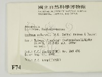 登錄號:F0007405藏品圖，第2張