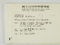 登錄號:F0007406藏品圖，第2張