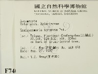 登錄號:F0007407藏品圖，第2張