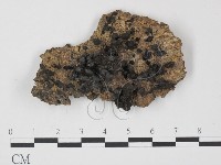 登錄號:F0007407藏品圖，第1張