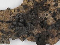 登錄號:F0007407藏品圖，第3張